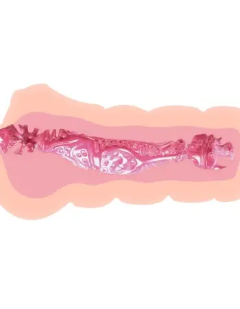 Crazy Bull Vagina Masturbator
