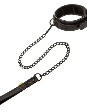 Boundless Collar & Leash