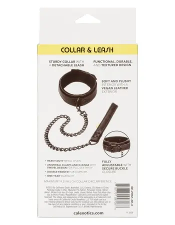 Boundless Collar & Leash