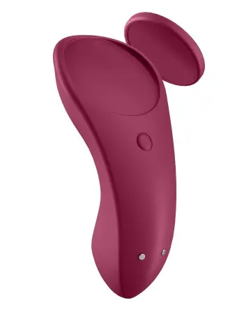 Sexy Secret - Panty Vibrator