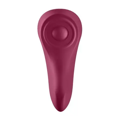 Sexy Secret - Panty Vibrator