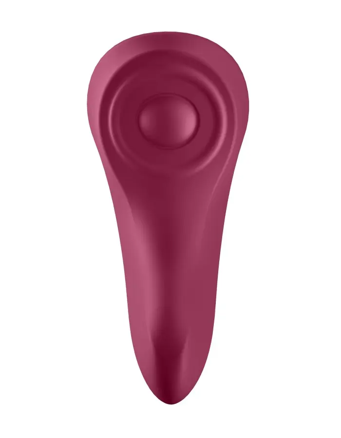 Sexy Secret - Panty Vibrator