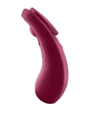 Sexy Secret - Panty Vibrator