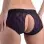 Lace Envy Crotchless Panty Harness - L/ XL Purple and Black