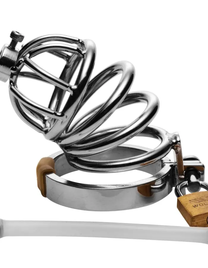 Stainless Steel Chastity Cage With Silicone  Urethral Plug