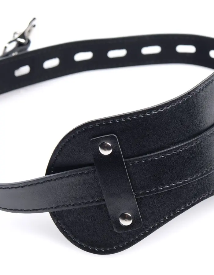 Bondage Hood With Penis Gag