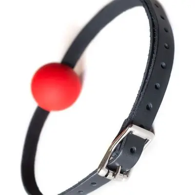 Kinklab Red Ball Gag