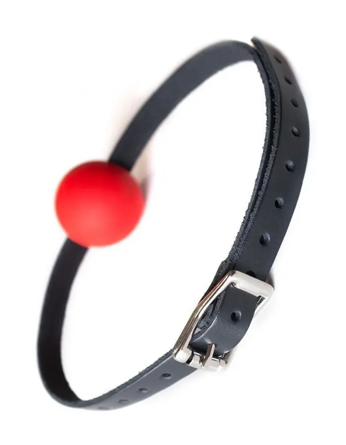 Kinklab Red Ball Gag