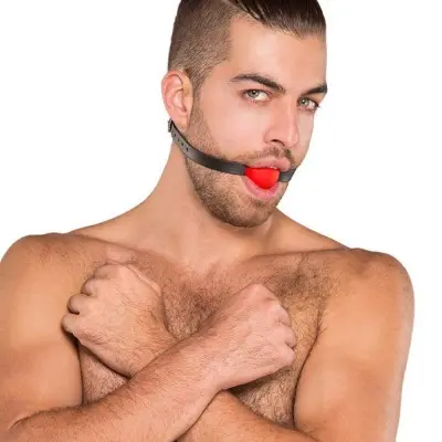 Kinklab Red Ball Gag