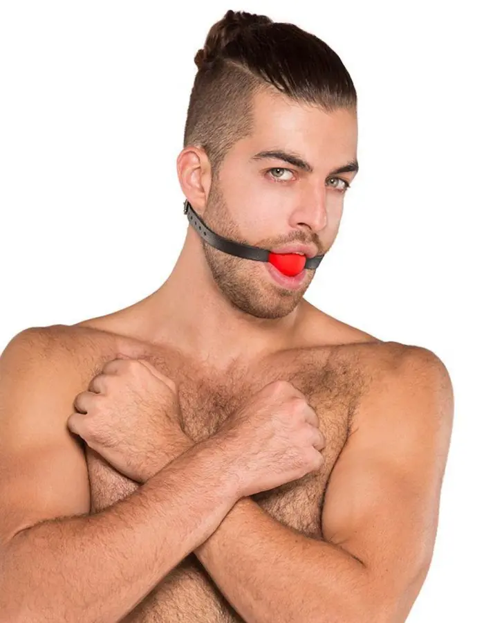 Kinklab Red Ball Gag