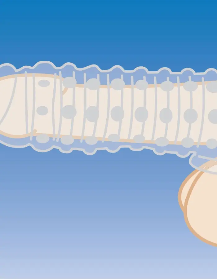 1.5 Inch Penis Enhancer Sleeve - Clear