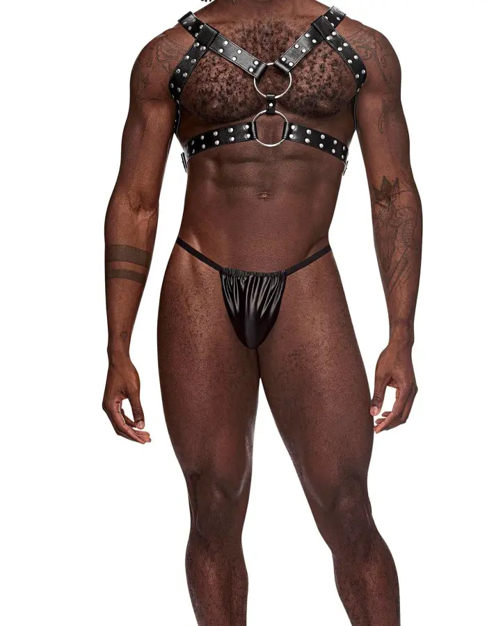 Gemini Leather Harness - One Size - Black