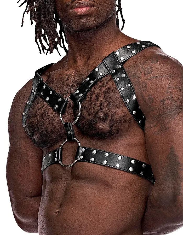 Gemini Leather Harness - One Size - Black
