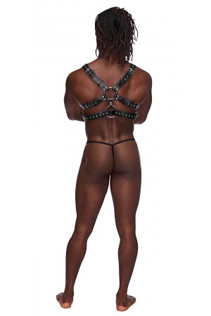 Gemini Leather Harness - One Size - Black