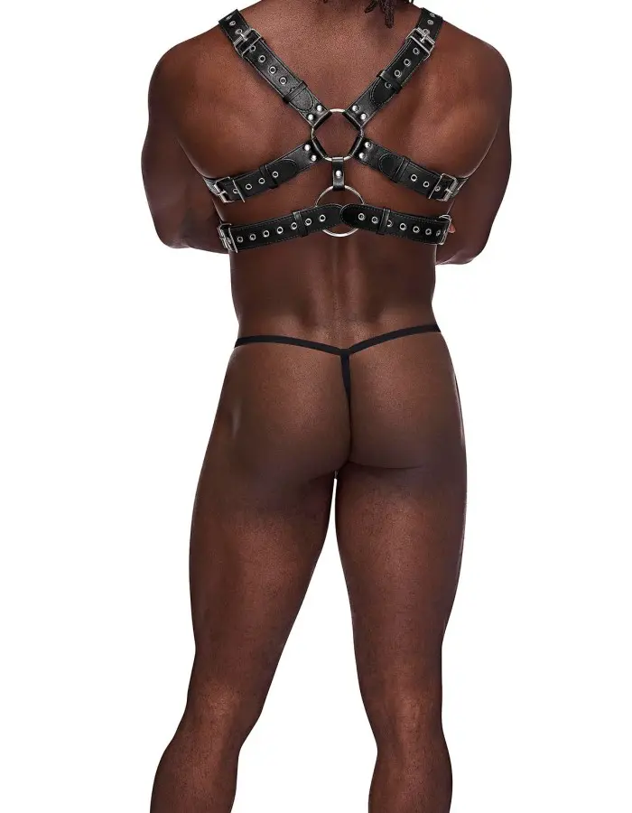 Gemini Leather Harness - One Size - Black
