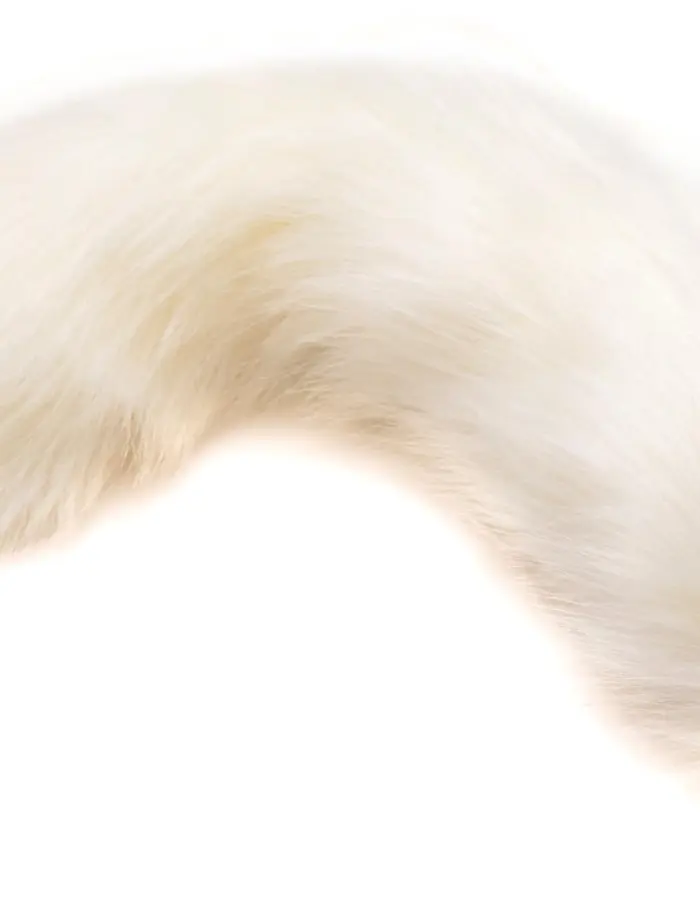 Interchangeable White Fox Tail