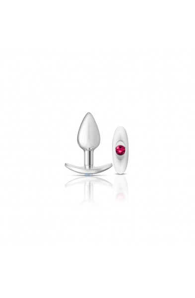 Cheeky Charms-Silver Metal Butt Plug Kit -Clear/bright Pink