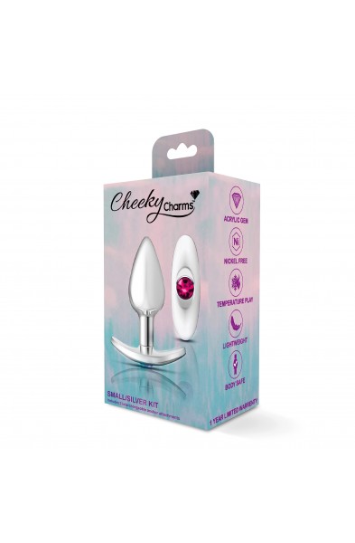 Cheeky Charms-Silver Metal Butt Plug Kit -Clear/bright Pink