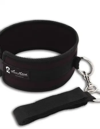 Collar and Leash Set
