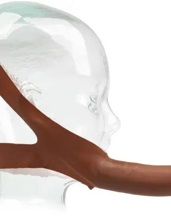 The Original Accommodator Latex Dong - Brown