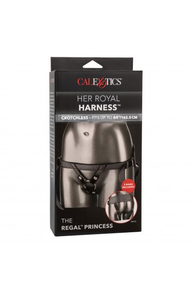 Her Royal Harness  the Regal Princess - Pewter