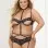 Two Piece Lace Bra and Thong Set With Attached   Harness - Queen - Black