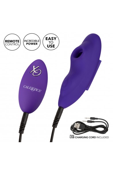 Lock-N-Play Remote Suction Panty Teaser - Purple