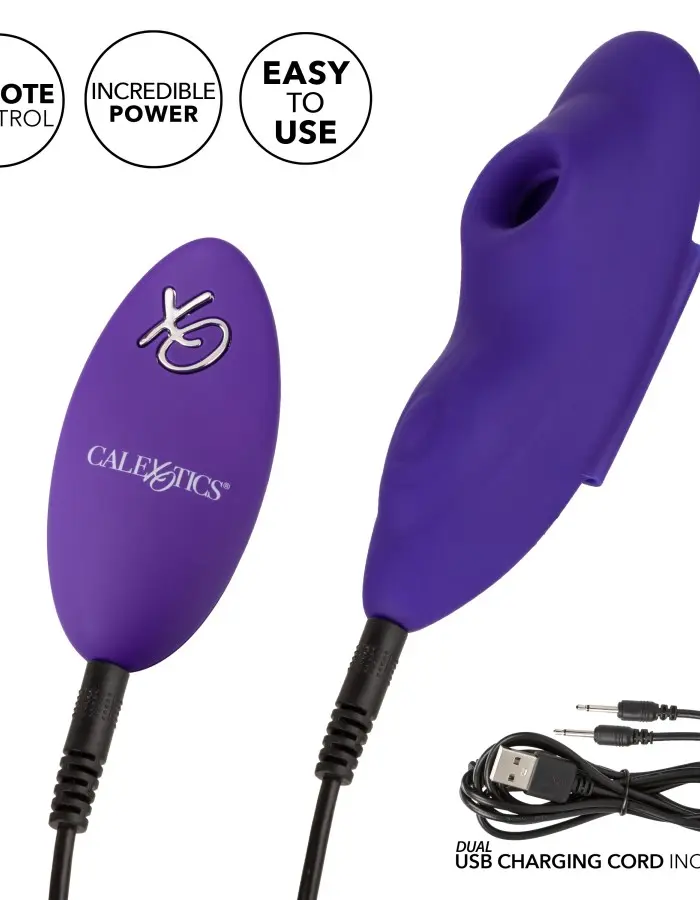 Lock-N-Play Remote Suction Panty Teaser - Purple