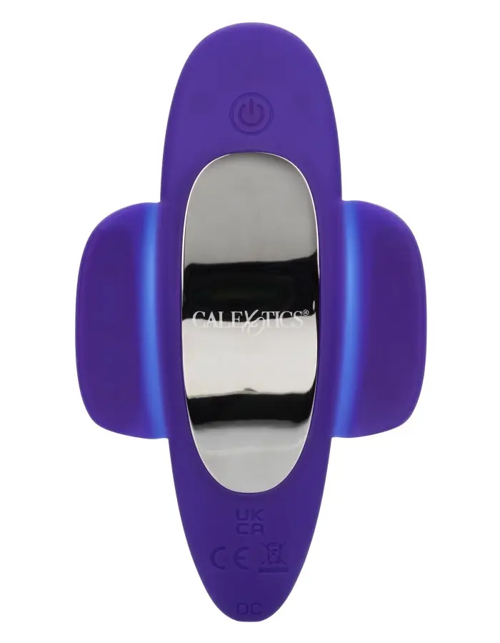 Lock-N-Play Remote Suction Panty Teaser - Purple