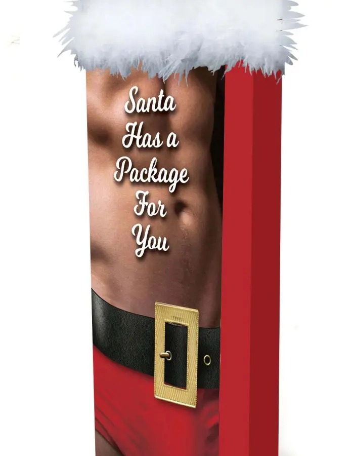 Santa Has a Big Package for You
