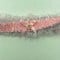 Satin Leg Garter - One Size - Baby Pink With White Lace
