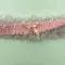 Satin Leg Garter - One Size - Baby Pink With White Lace