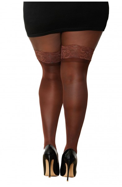 Lace Top Thigh High - Queen Size - Espresso