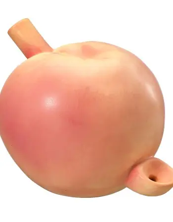 Peach Pipe