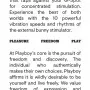 Playboy Pleasure - Thumper - Rabbit Vibrator - Wild Aster