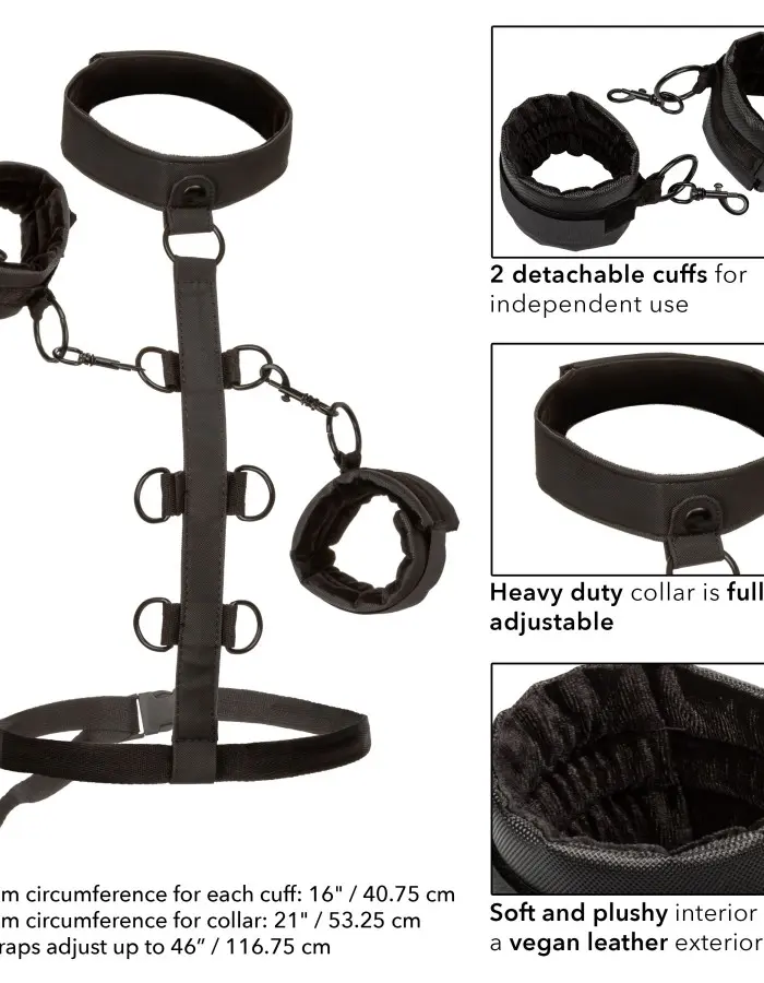 Boundless Collar Body Restraint - Black