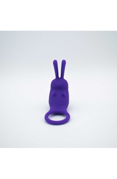 The Cock Hopper Cock Ring and Bullet Vibrator -  Purple