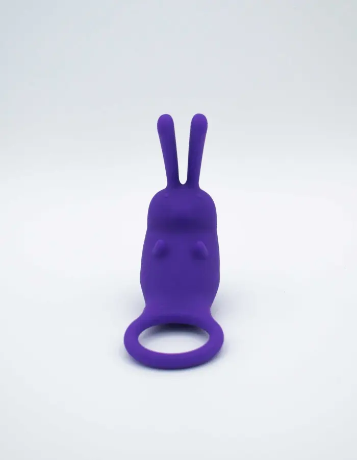 The Cock Hopper Cock Ring and Bullet Vibrator
