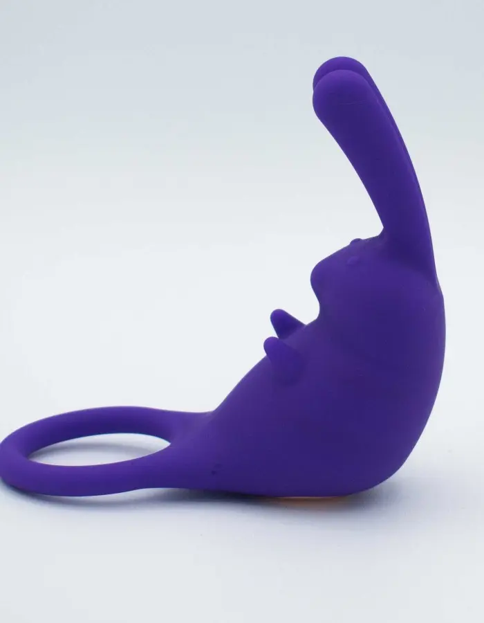 The Cock Hopper Cock Ring and Bullet Vibrator