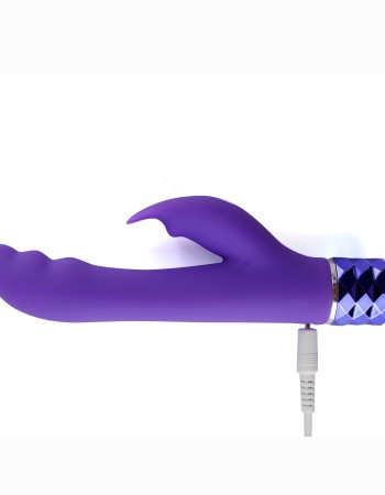 Hailey 10-Function Vibrating Rechargeable Dual  Vibe - Purple