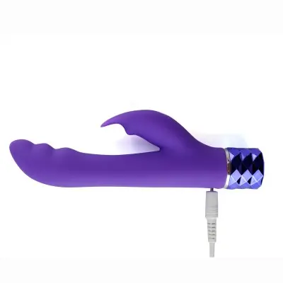 Hailey 10-Function Vibrating Rechargeable Dual  Vibe - Purple