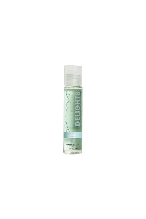 Delight Water Based - Whipped Cream - Flavored Lube 1 Oz