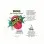Smack Warming and Lickable Massage Oil - Tropical 2 Oz