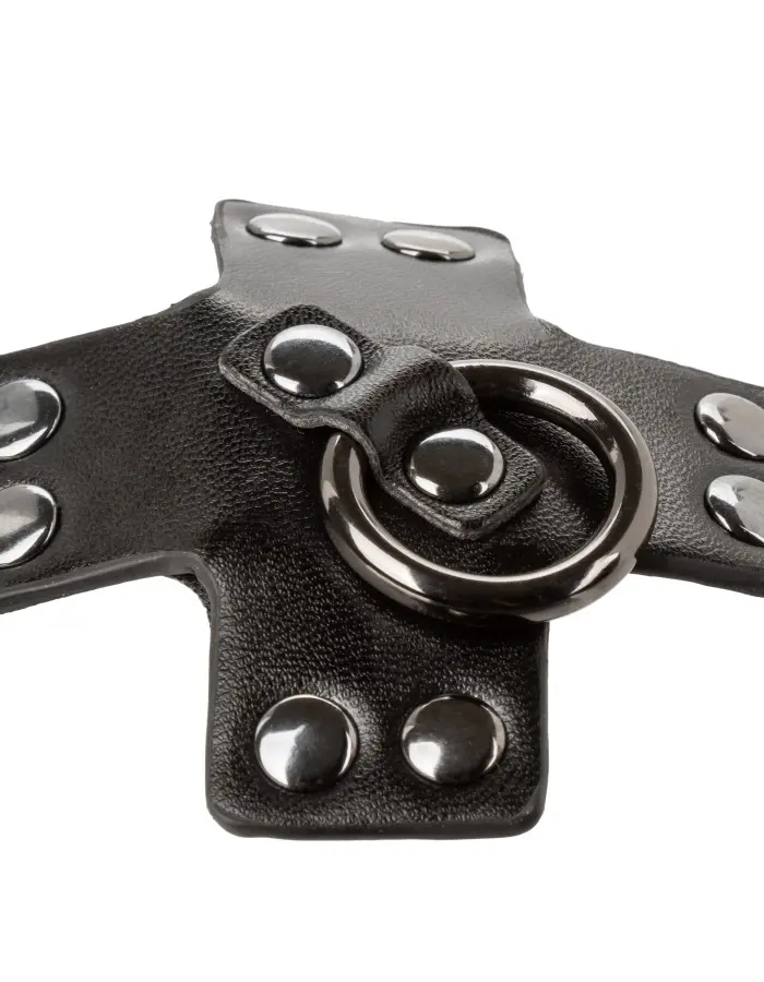 Euphoria Collection O-Ring Pasties - Black