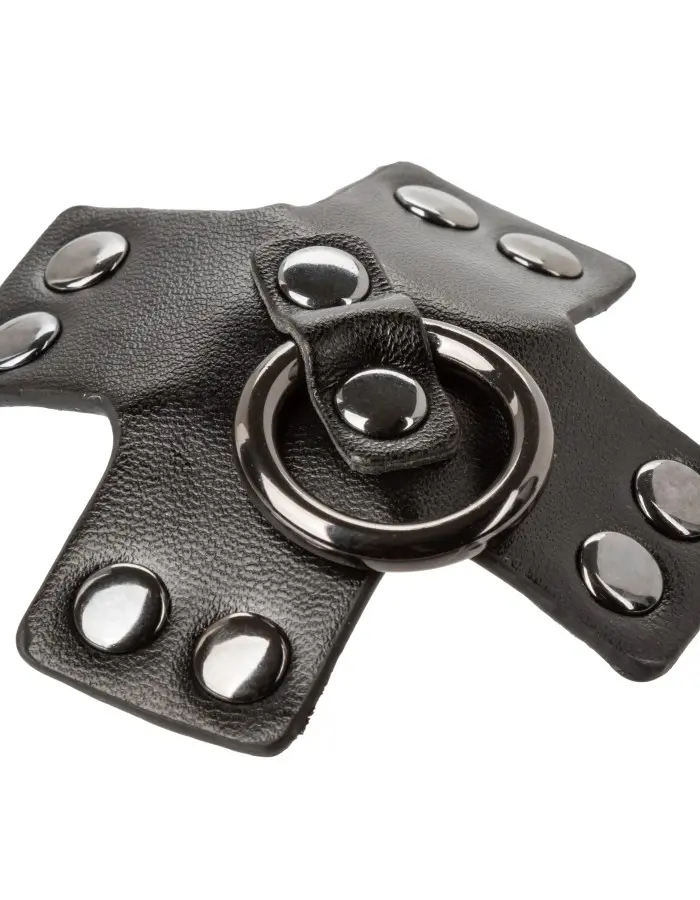 Euphoria Collection O-Ring Pasties - Black