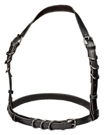 Euphoria Collection Halter Buckle Harness - Black