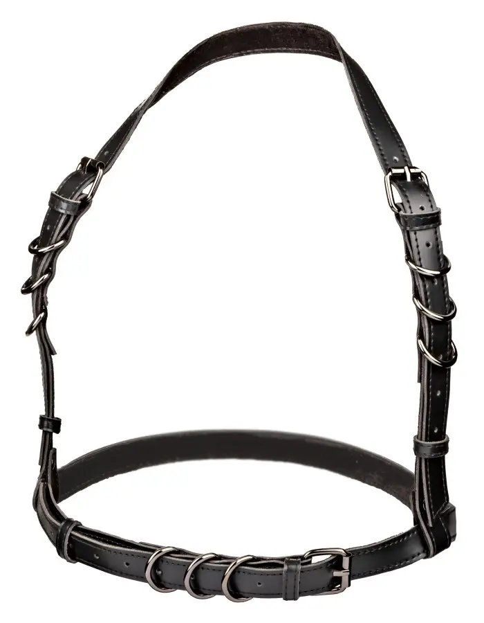 Euphoria Collection Halter Buckle Harness - Black