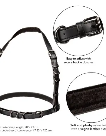 Euphoria Collection Plus Size Halter Buckle Harness - Black