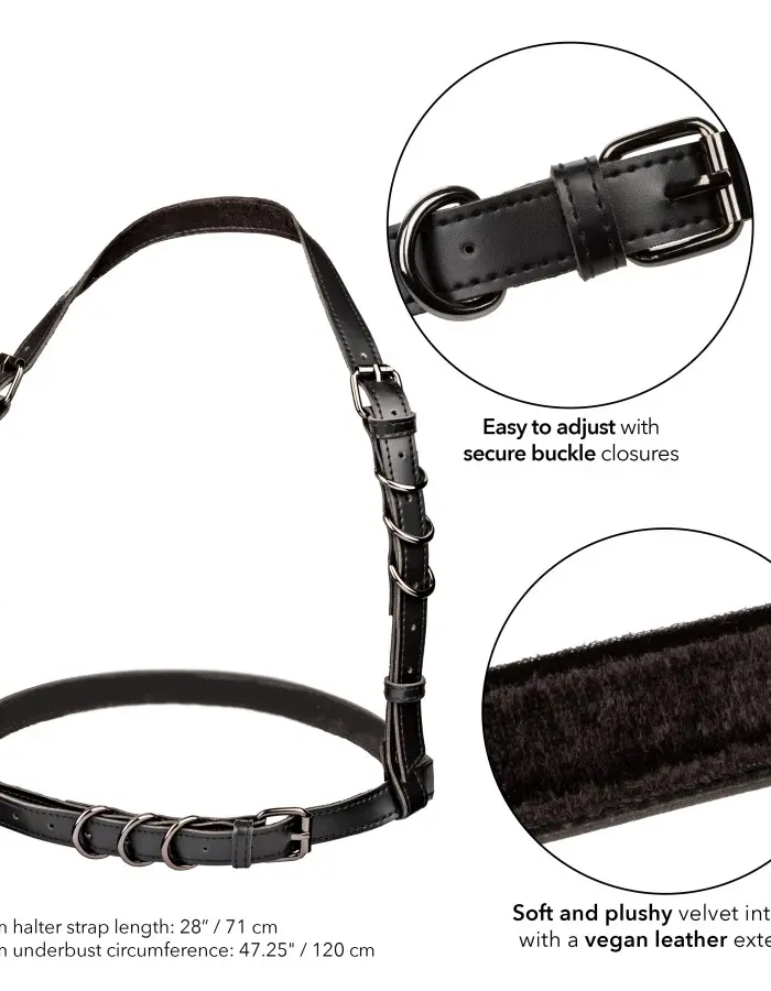 Euphoria Collection Plus Size Halter Buckle Harness - Black