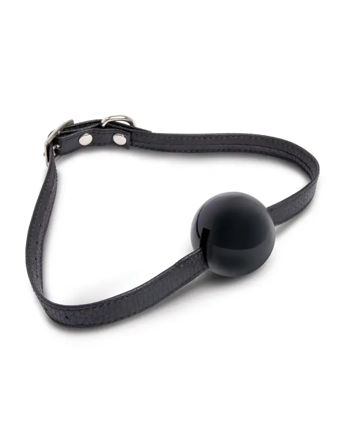 7 Pc Hogtie and Ball Gag Kit - Black